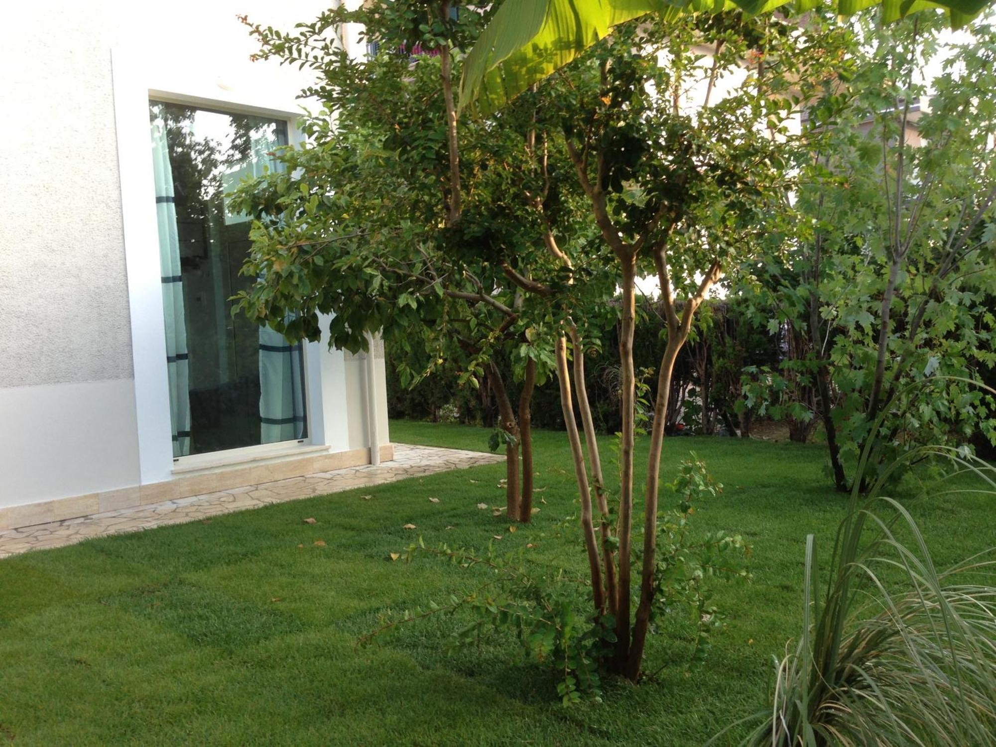 Loft 3, A 150 M Dal Mare, Pineto Centro Apartment Ngoại thất bức ảnh